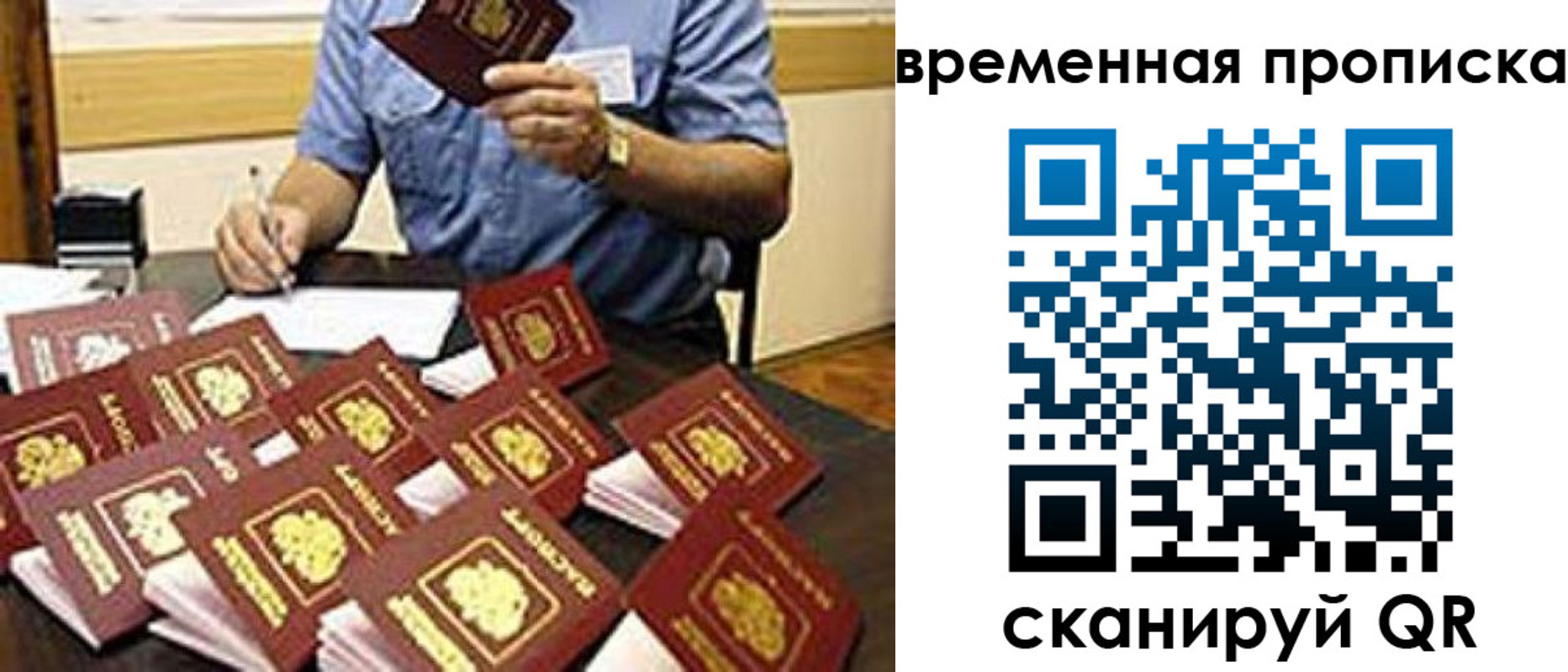 прописка для школы в Новозыбкове